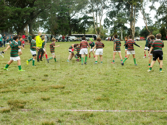 Rugby: multitudinario encuentro en Campo de Pato