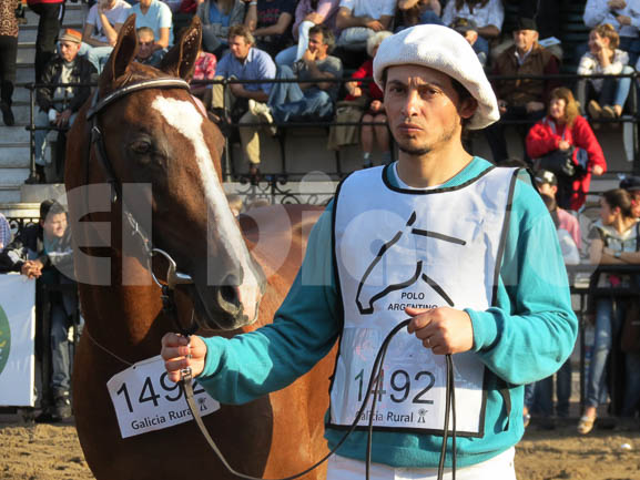 Lo mejor en caballos a La Rural  llega de la mano de cabaña "San José" 