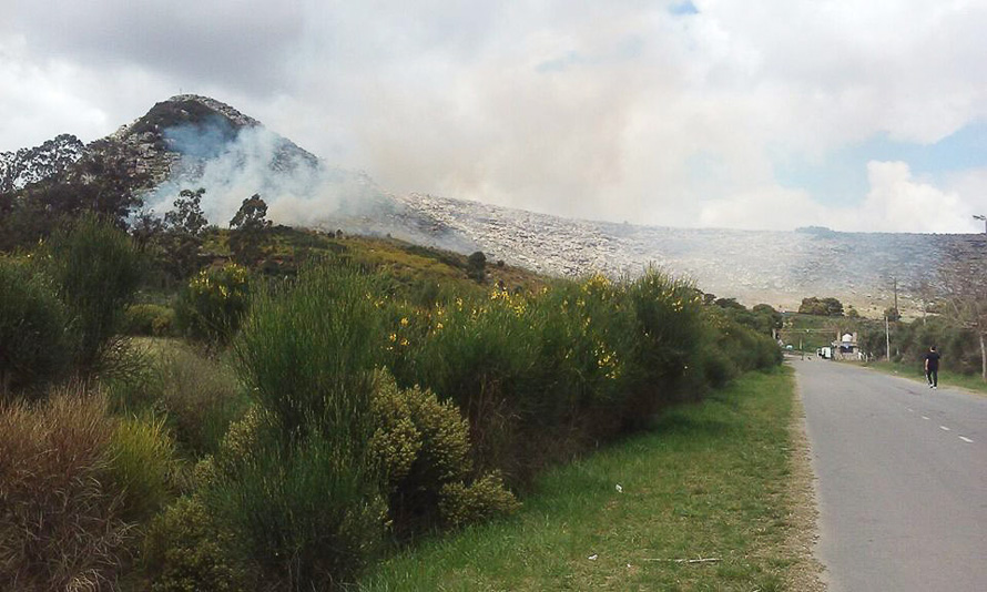 Un nuevo incendio afectó  a la sierra "La Barrosa"