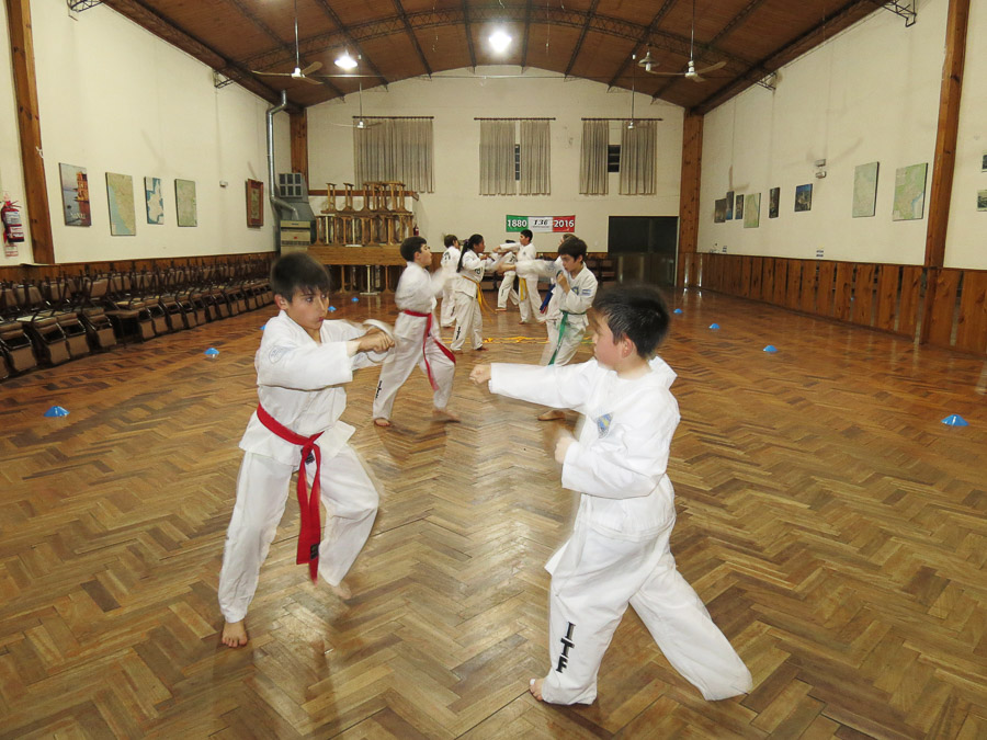 El taekwondo, un deporte que no para de crecer