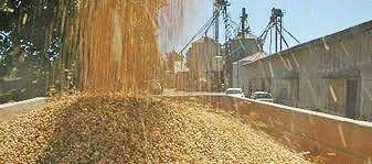 Cayó 12% la molienda de soja y acumuló  36,7 millones de toneladas en el año 2018