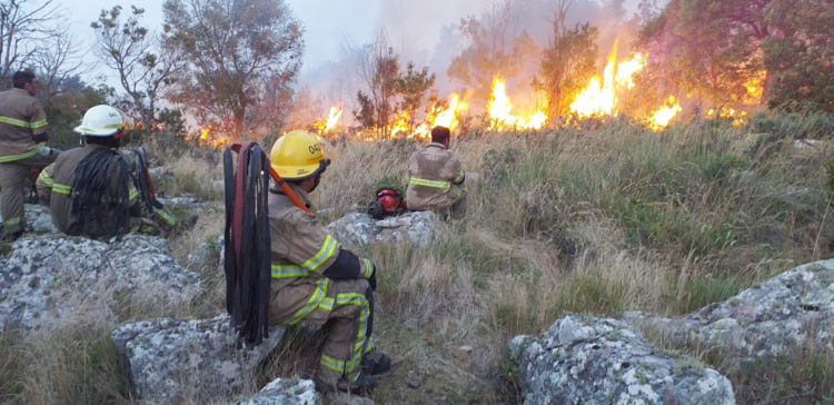 El día después: Un piromaniaco provocó voraces focos de incendio en «La Barrosa»